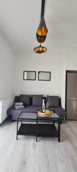 61 - Nowy apartament w centrum przy ul 3 Maja 51a